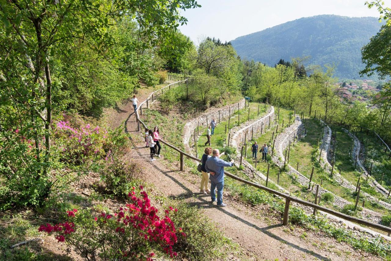Agriturismo Al Motto Cambiasca Eksteriør billede